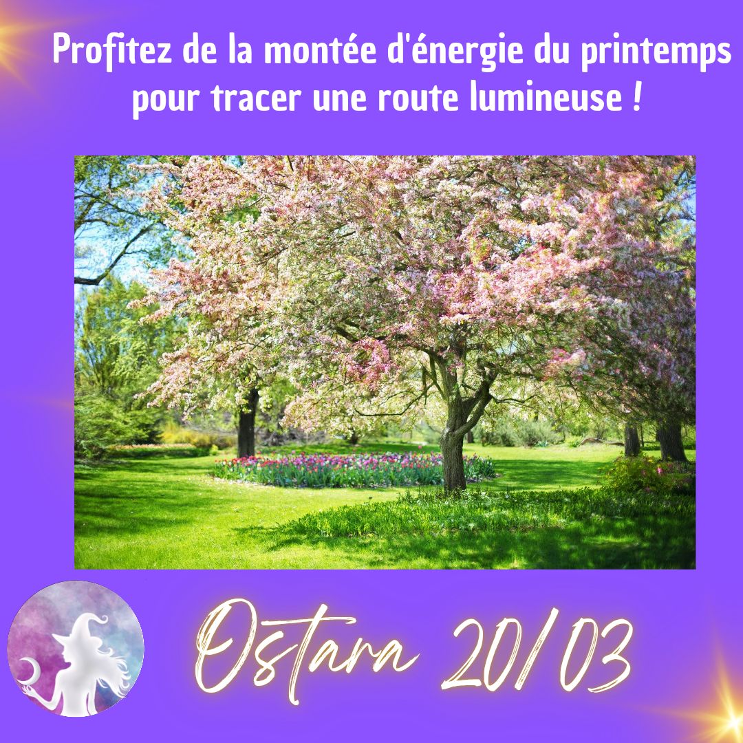 cerisier en fleur dans un jardin